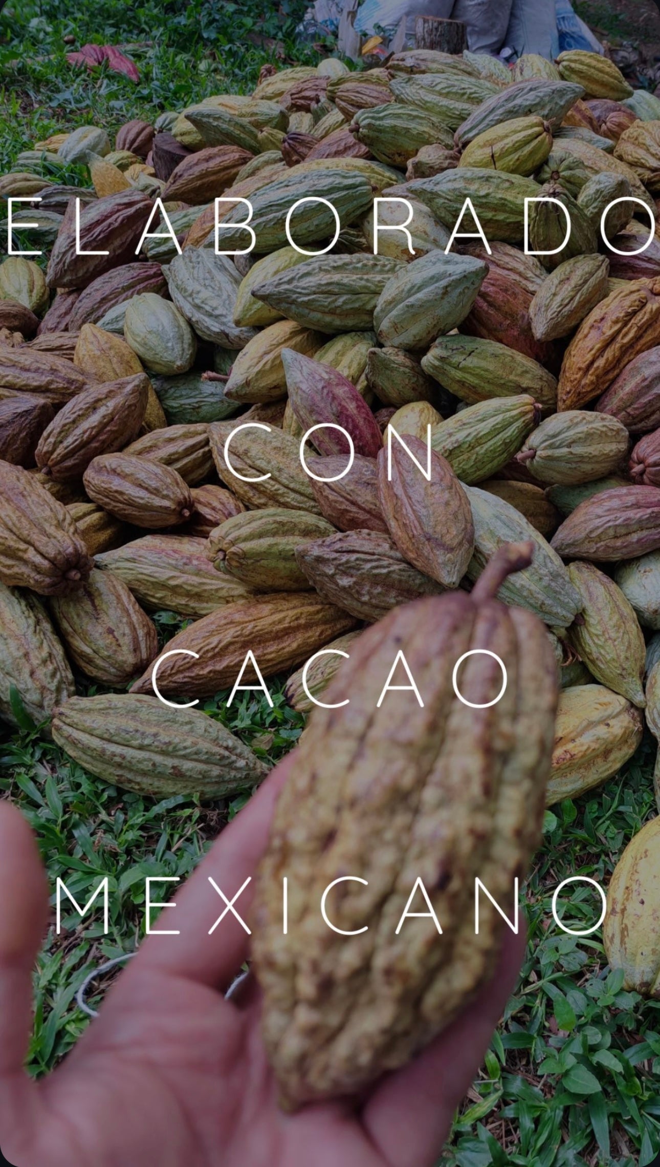 Chocolate De Metate / Chocolate Cacao Tablets