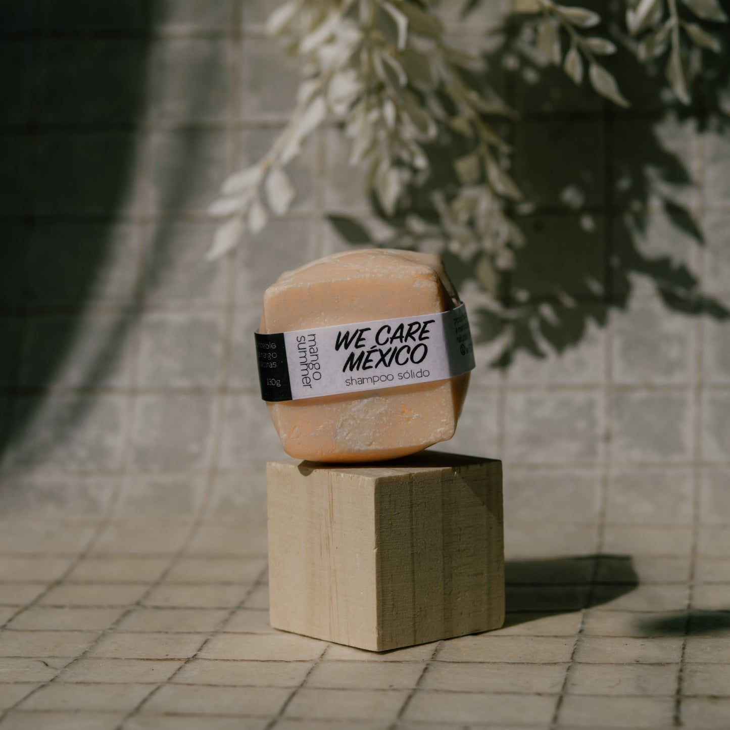 Shampoo Solido